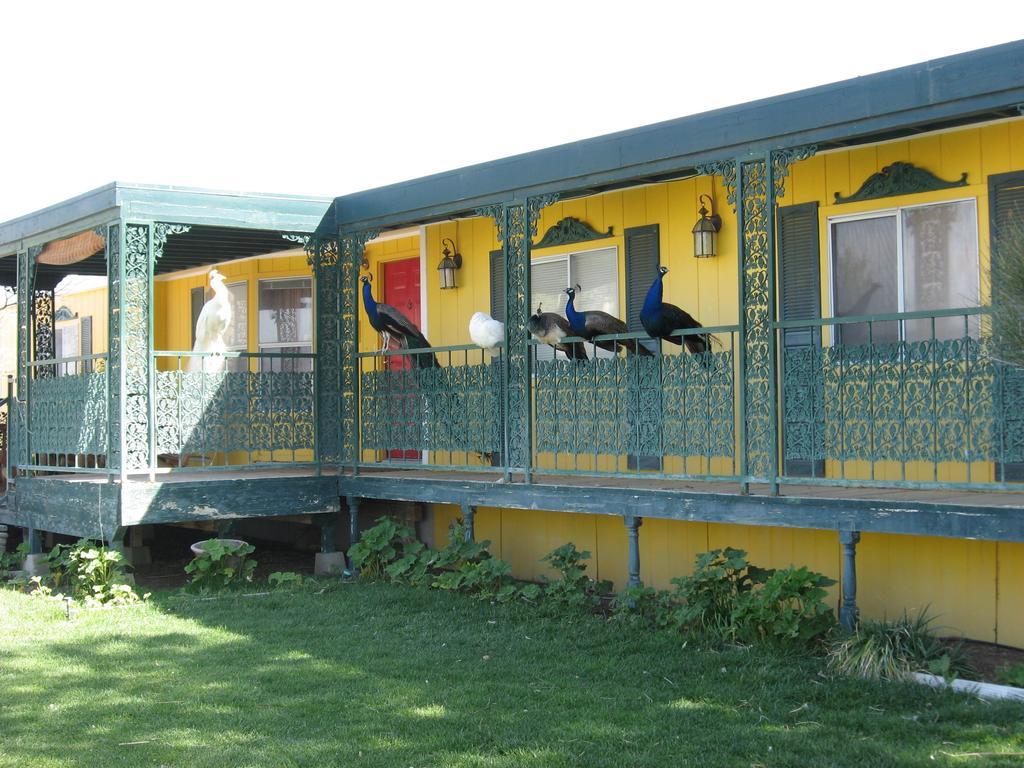 Shady Lady Bed And Breakfast Scottys Junction Exterior foto